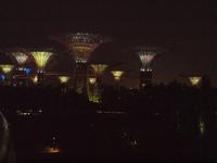 Singapur - Super Trees