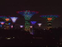 Singapur - Super Trees