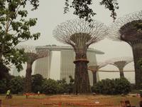 Singapur - Gardens by the Bay