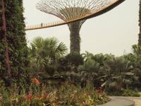 Singapur - Gardens by the Bay