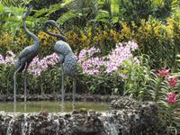 Singapur - Orchard Garden
