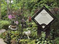 Singapur - Orchard Garden