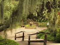 Singapur - Orchard Garden