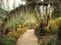 Singapur - Orchard Garden
