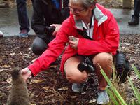 Featherdale Wildlife Park
