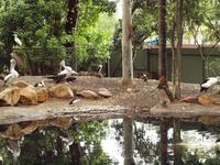 Featherdale Wildlife Park