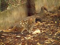 Featherdale Wildlife Park