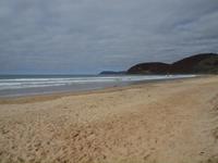 Ausflug Great Ocean Road