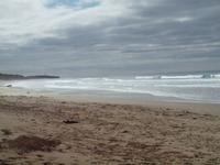 Ausflug Great Ocean Road