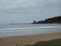 Ausflug Great Ocean Road