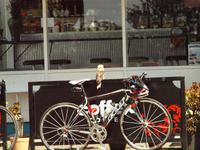 Ausflug Great Ocean Road