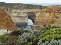 Ausflug Great Ocean Road