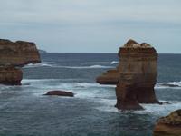 Ausflug Great Ocean Road