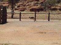 Alice Springs - Telegrafenstation