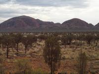Uluru - Kata - Tjuta Nationalpark - Olgas