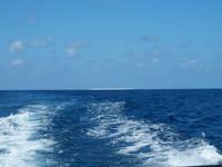 Cairns - Michaelmas Cay