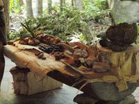 Cairns - Tjapukai Kulturzentrum