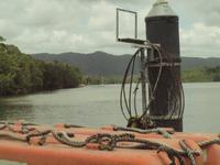 Fährüberfahrt zum Daintree Nationalpark