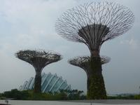 Garden by the Bay