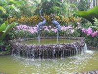 Botanischer Garten - Orchideengarten