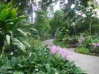 Botanischer Garten - Orchideengarten
