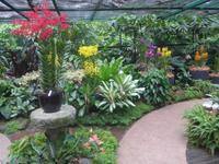 Botanischer Garten - Orchideengarten
