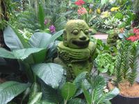 Botanischer Garten - Orchideengarten