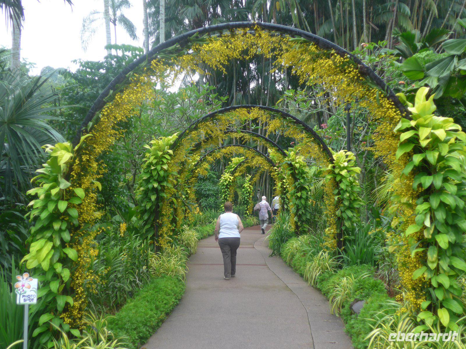 Botanischer Garten - Orchideengarten