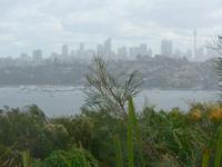Blick auf Skyline von Sydney