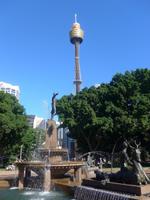 Blick auf Archibald Fountain u. Sydney Tower