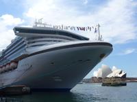 Kreuzfahrtschiff am Circular Quay