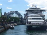 Kreuzfahrtschiff am Circular Quay