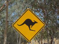 Verkehrszeichen - Hinweisschild auf Kangaroos