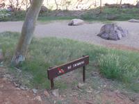 Simsons Gap - Bei Wasser dennoch Schwimmverbot