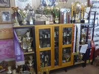 Pokale- Sammlung auf Kamelfarm