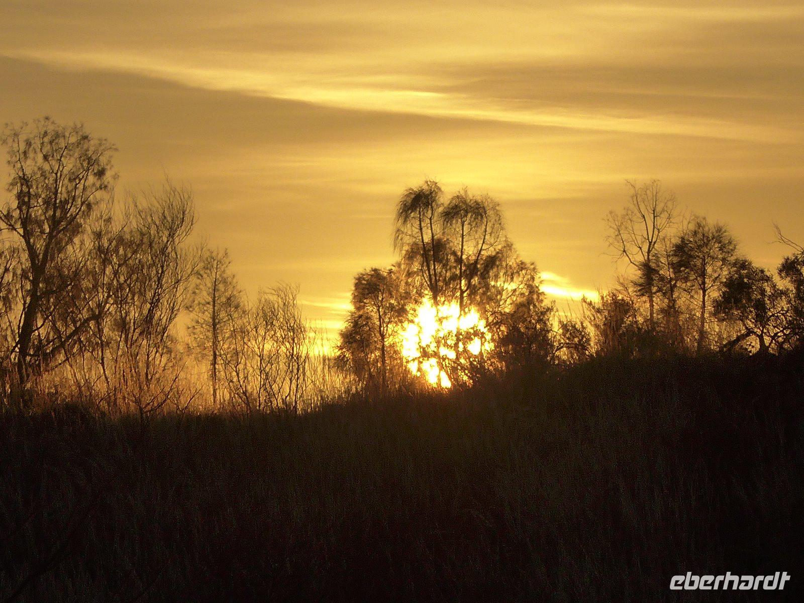 Sonnenaufgang am Ayes Rock