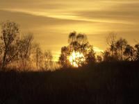 Sonnenaufgang am Ayes Rock