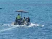 Tenderboot für das Übersetzen auf die Insel