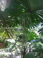 Wildlife Habitat Port Douglas