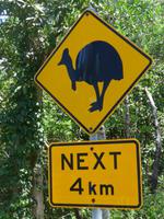 Verkehrschild Hinweis auf Cassowaries