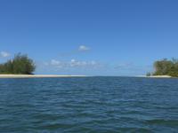 Delta des Daintree Rivers