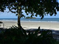 Blick aufs Meer im Daintree Nationalpark