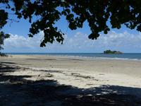 Blick aufs Meer im Daintree Nationalpark