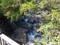 Schlucht im Mossmann Gorge