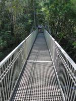 Hängebrücke über Schlucht Mossmann Gorge