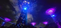 12 tolle allabendliche Show
