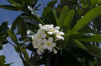 Spaziergang in Singapur zurück zum Hotel