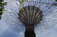 Stadrundfahrt in Singapur