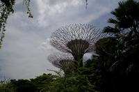 Stadrundfahrt in Singapur