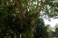 Stadrundfahrt in Singapur